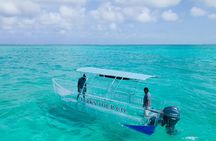 75 Minutes Clear Boat Tour in Caicos Island