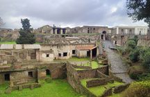 Pompeii Tour with experienced guide