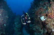 2-Tank Scuba Boat Trip in World-Class Sites @ Copamarina