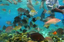 Johnny Cay and Aquarium Tour in San Andres with or without lunch