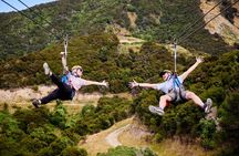Half Day Zipline Adventure in Kaikoura