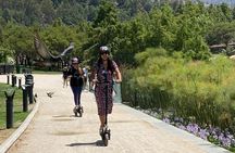 City tour Santiago on electric scooter, nature and city