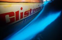 Glistening Waters Luminous Lagoon Night tour with swim option 
