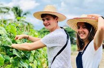 Baan Farm thai cooking Afternoon Class (Vegetarian Applicable)