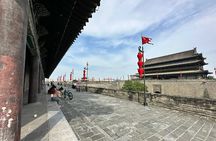 Xi'an Highlights Private Day Tour: Terracotta Warriors, City Wall