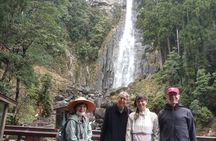 Kumano Kodo Pilgrimage in 1 Day Hike with Licensed Guide
