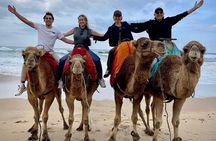 Full-Day Private Guided Tour in Tangier