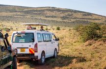 7 Day Tour of Amboseli Lake Nakuru and Masai Mara