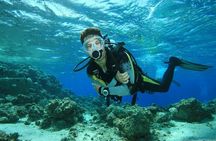Alanya Scuba Diving Includes Lunch and Transfer for Beginners 