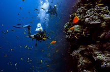 Alanya Scuba Diving Includes Lunch and Transfer for Beginners 