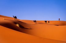 Private 12-Day Morocco Tour – Cities, Desert, Coast & Royal Touch