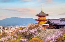 Osaka/Kyoto Day Tour: Nara Deer, Fushimi Inari& Kiyomizudera