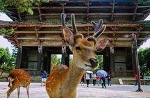 Osaka/Kyoto Day Tour: Nara Deer, Fushimi Inari& Kiyomizudera