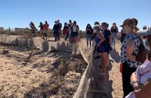Wine route with tasting and pairing in the La Mata Natural Park