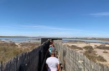 Wine route with tasting and pairing in the La Mata Natural Park