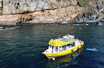 3h Boat Trip + Snorkeling in Puerto de Mogan