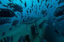 Private Bayahibe 3 Tank Diving with Lunch from Punta Cana 