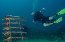 Private Bayahibe 3 Tank Diving with Lunch from Punta Cana 
