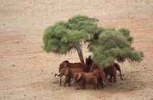 Mombasa/Diani: Overnight Safari to Tsavo East National Park 