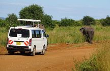 Full Day Private Tour Ol Pejeta Conservancy from Nairobi