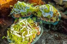 Mexico Off the Beaten Track: Street Food & Bikes — All Inclusive