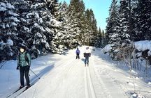 Learn Nordic Skiing - Private Class with Professional Instructor
