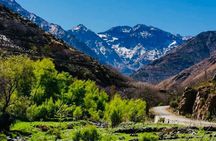 Excursion to the Ourika Valley and Berber villages 