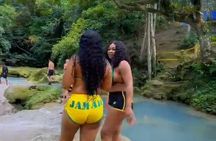 Ocho Rios and Blue Hole Eco Experience from Kingston