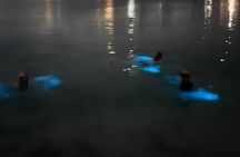 Grand Cayman - Bioluminescent Bay Tour