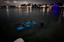 Grand Cayman - Bioluminescent Bay Tour