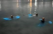 Grand Cayman - Bioluminescent Bay Tour