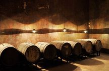 Tour for Jesuit Experience and Wines