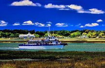 Myrtle Beach Dolphin Cruise Murrells Inlet