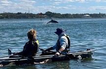 Sarasota Clear Kayak Tour