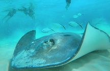 VIP Snorkel El Cielo Cozumel, 2 Reefs + Snacks + Drinks