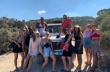 Paphos: Akamas Gorge & Turtle Bay & Donkey Farm Jeep Safari Tour 