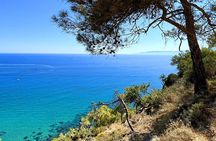 Paphos: Akamas Gorge & Turtle Bay & Donkey Farm Jeep Safari Tour 
