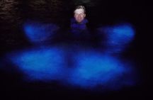Grand Cayman Bioluminescent Bay Adventure