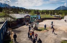 Wild Adventure Yukon Tour into Canada including City and Summit