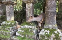 Private Half-Day City of Nara Guided Tour