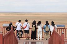 Mongolian Gobi 6 Day Private 4WD Tour
