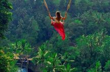 Aloha Swing : Exhilarating The Best Swing Experience in Ubud