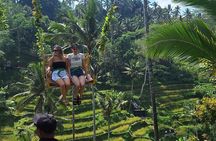 Aloha Swing : Exhilarating The Best Swing Experience in Ubud