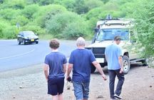 4 Days Serengeti and Ngorongoro Joining Group Mid-range Safari