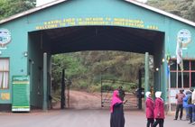 4 Days Serengeti and Ngorongoro Joining Group Mid-range Safari