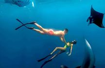 Nusa Penida Snorkeling and Uluwatu Sunset Tour with Dinner