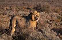 2 Days Tanzania Midrange Group Join Safari 