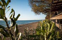Ancient Olympia & Kourouta Beach - All Included Tour