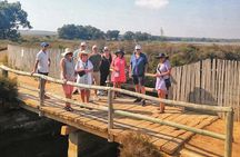 Wine route with tasting and pairing in the La Mata Natural Park