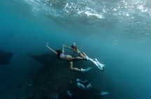 ️Nusa Penida by Private Boat - Snorkeling 4 spots, Swim with Mantas + Land Tour
